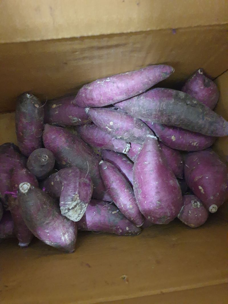 남정랑님의 장터 구매 후기 썸네일