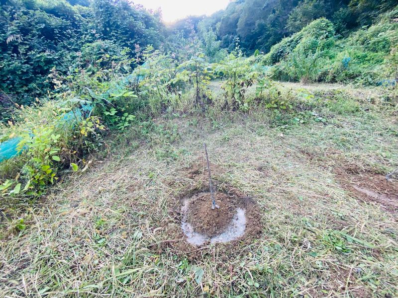 김준연님의 장터 구매 후기 썸네일