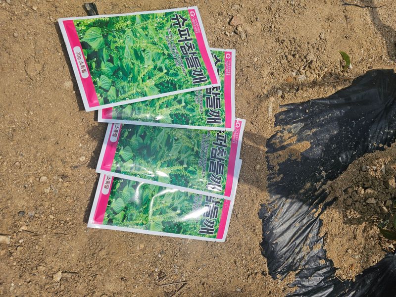 알 수 없음님의 장터 구매 후기 썸네일