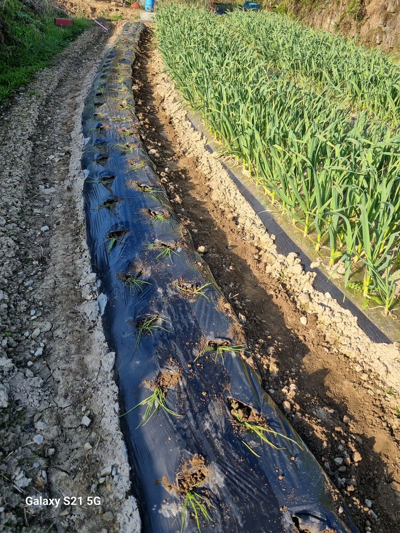 윤장희님의 장터 구매 후기 썸네일