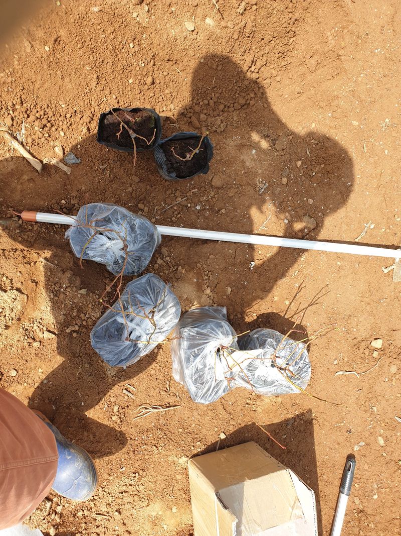 편점님의 장터 구매 후기 썸네일