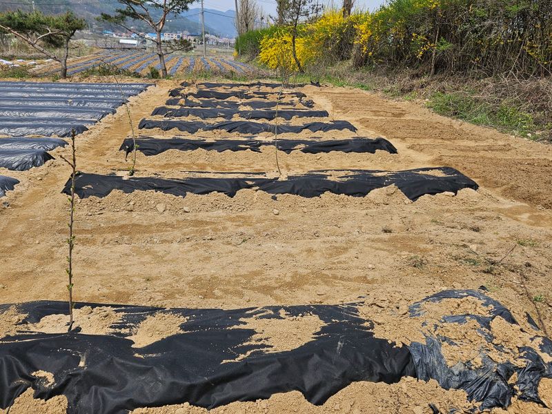 마중물0715님의 장터 구매 후기 썸네일