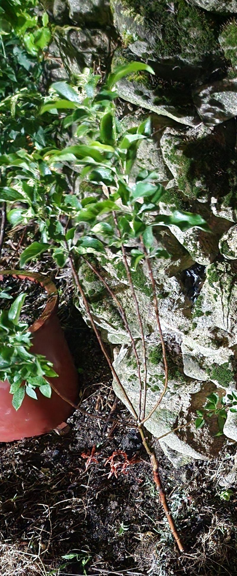 윤님님의 장터 구매 후기 썸네일