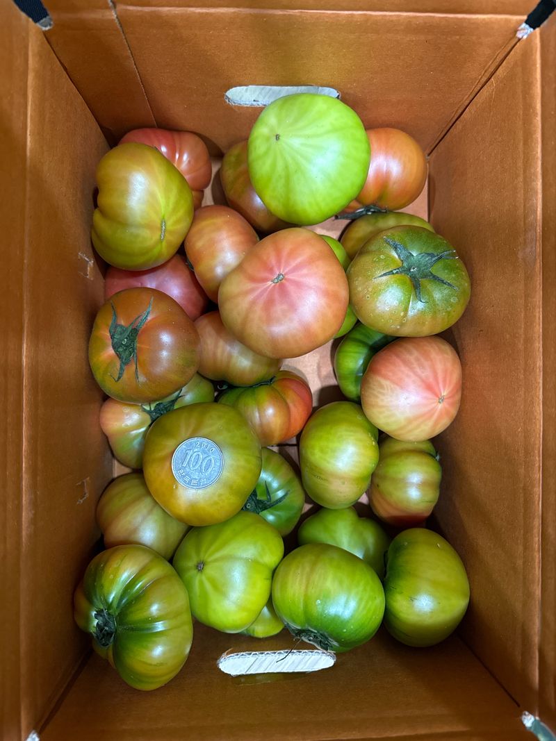 최인아님의 장터 구매 후기 썸네일