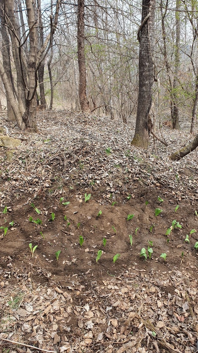장기범님의 장터 구매 후기 썸네일