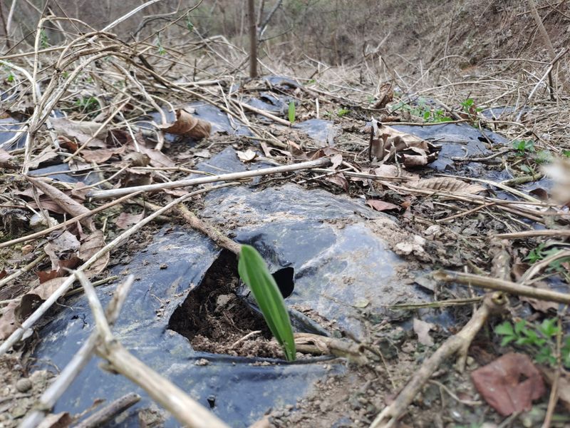 월굴리이승재님의 장터 구매 후기 썸네일