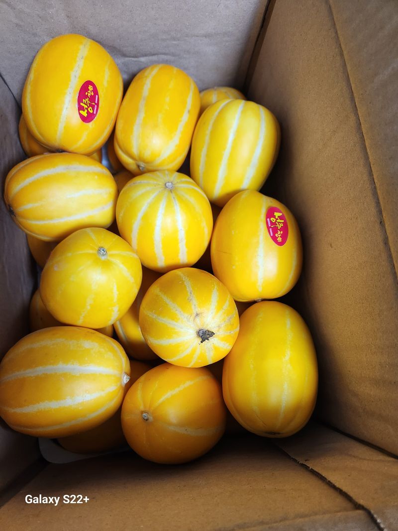 김유일님의 장터 구매 후기 썸네일