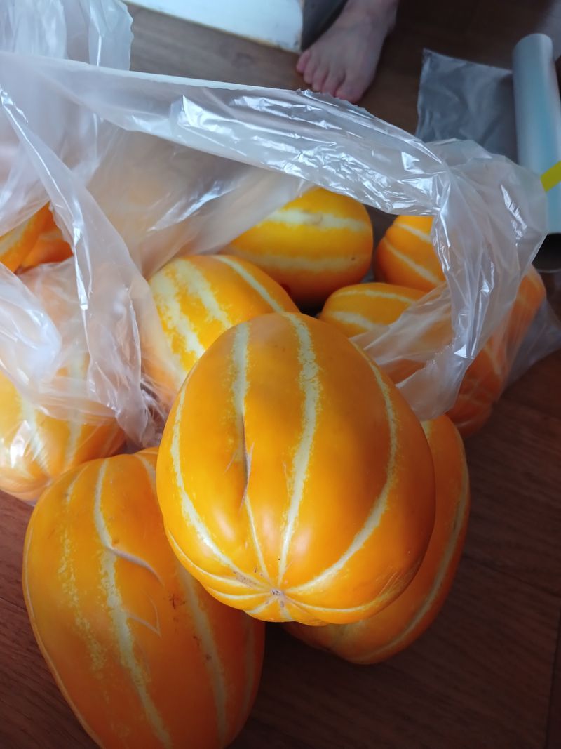 대파23119님의 장터 구매 후기 썸네일