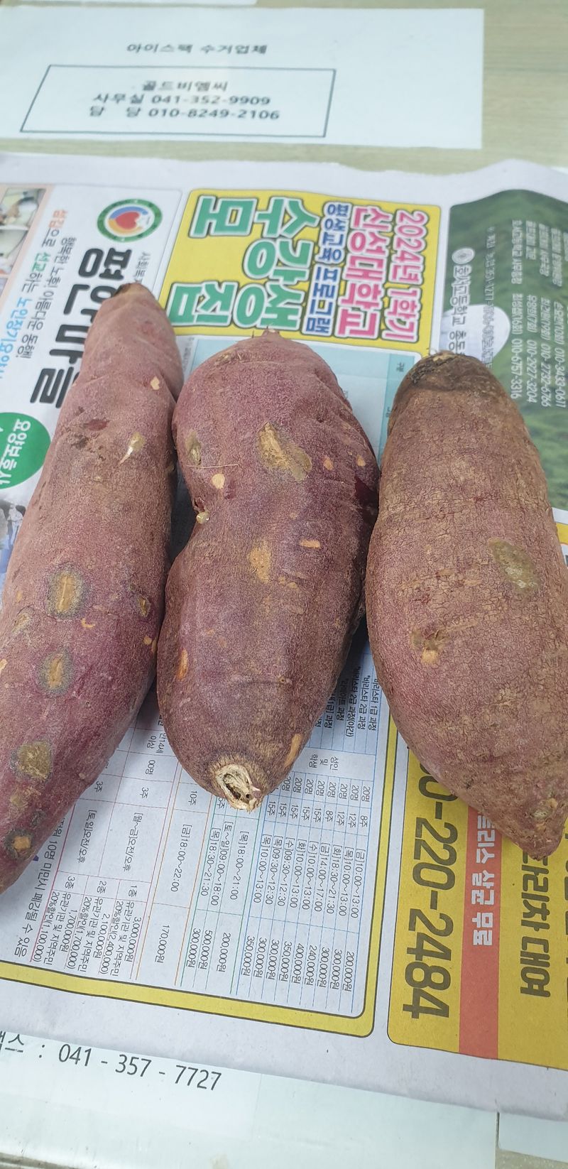 밤가시 여주농장님의 장터 구매 후기 썸네일