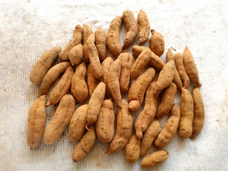 딸기150714님의 장터 구매 후기 썸네일