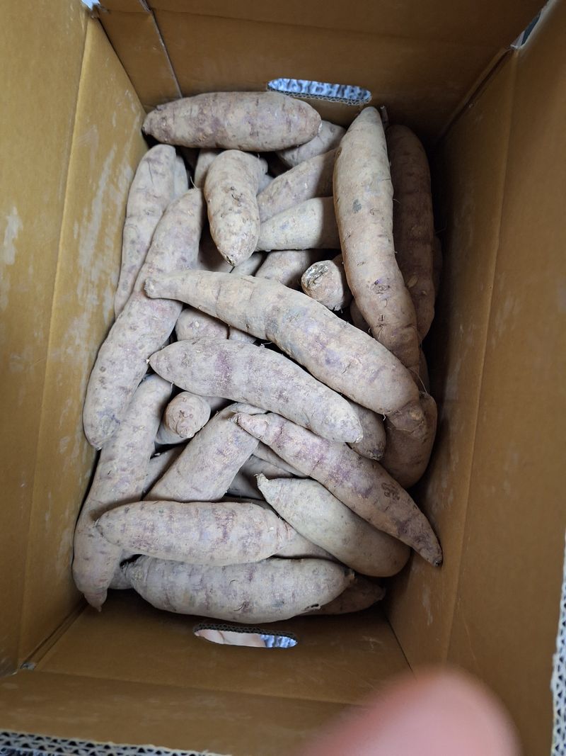 이정순님의 장터 구매 후기 썸네일