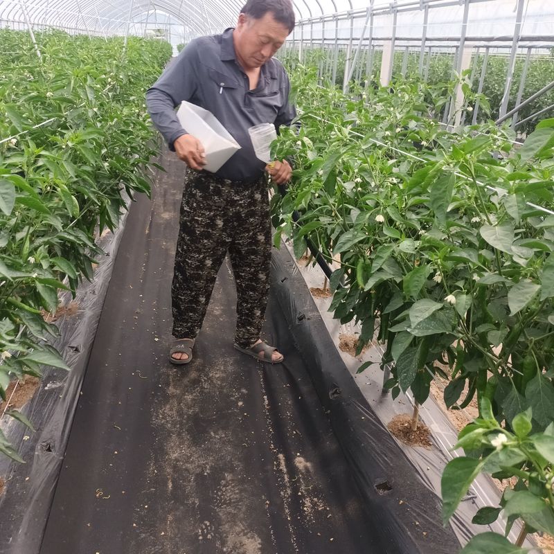 장기수님의 장터 구매 후기 썸네일