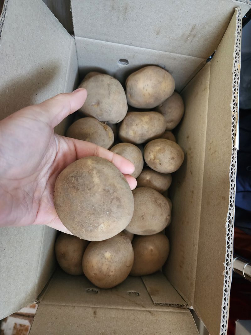 꾸야맘님의 장터 구매 후기 썸네일