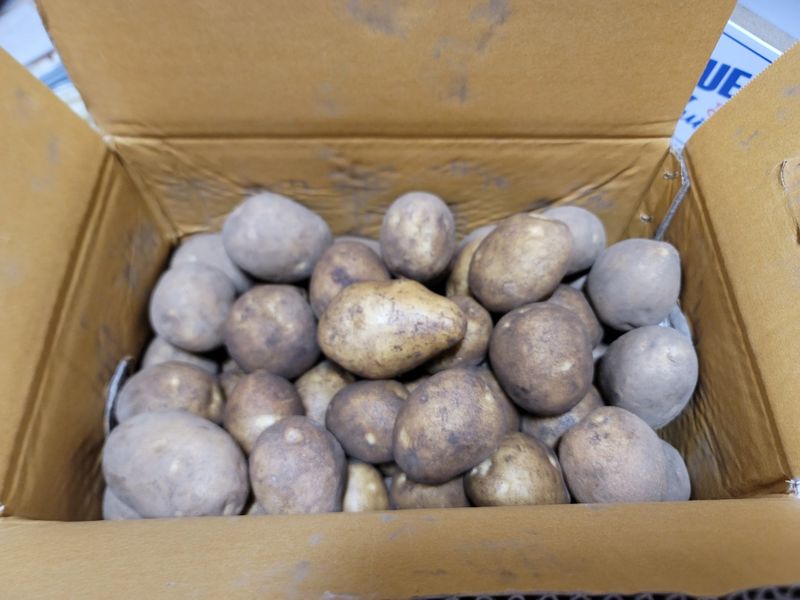 빛그린 김용화님의 장터 구매 후기 썸네일