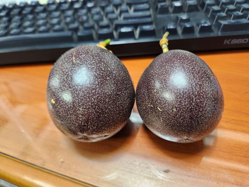 안산제일농약사님의 장터 구매 후기 썸네일