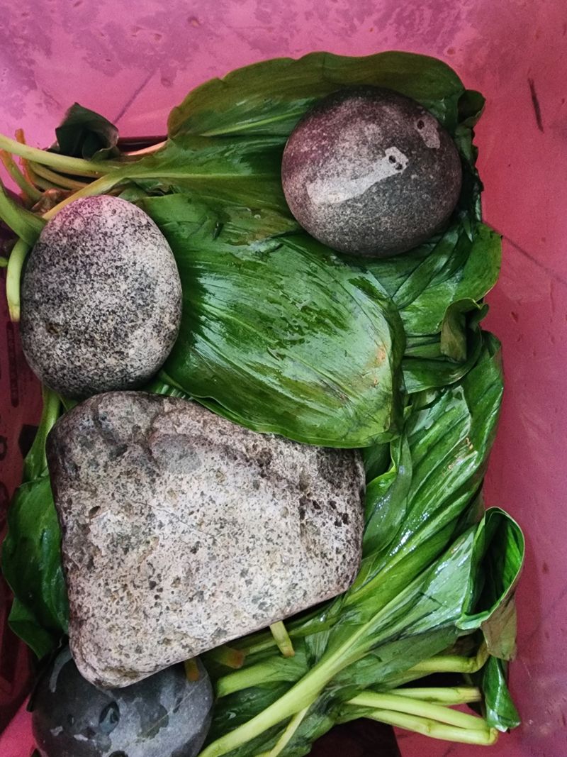 정경주님의 장터 구매 후기 썸네일