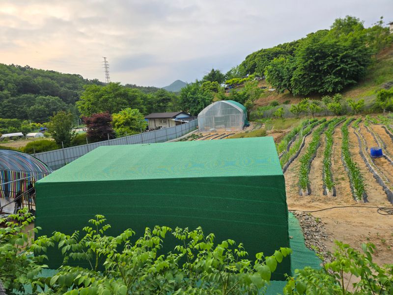 유만종님의 장터 구매 후기 썸네일