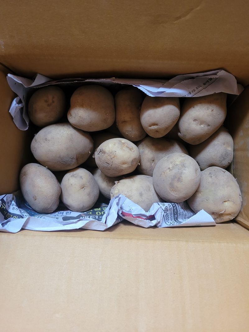 일향님의 장터 구매 후기 썸네일