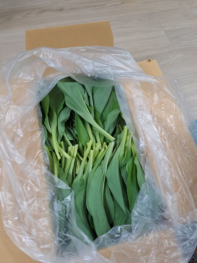 청주현도농부님의 장터 구매 후기 썸네일