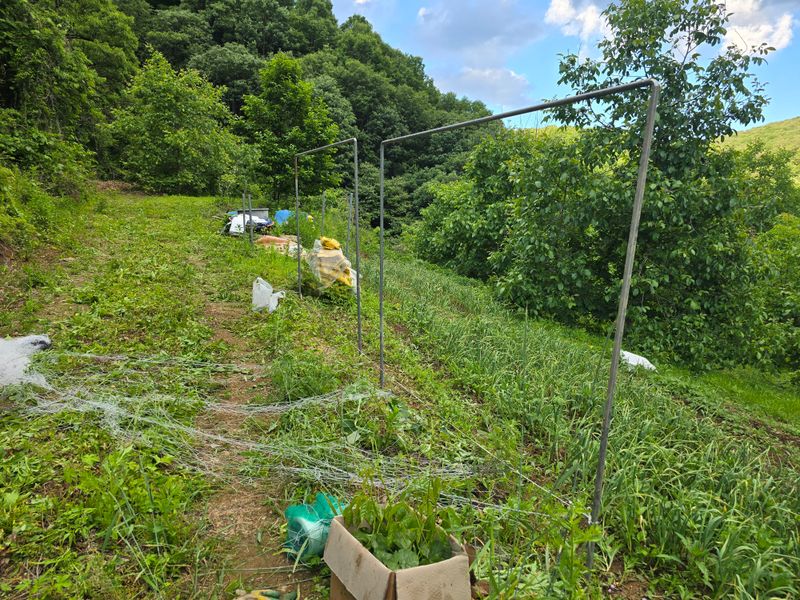 주주농장님의 장터 구매 후기 썸네일