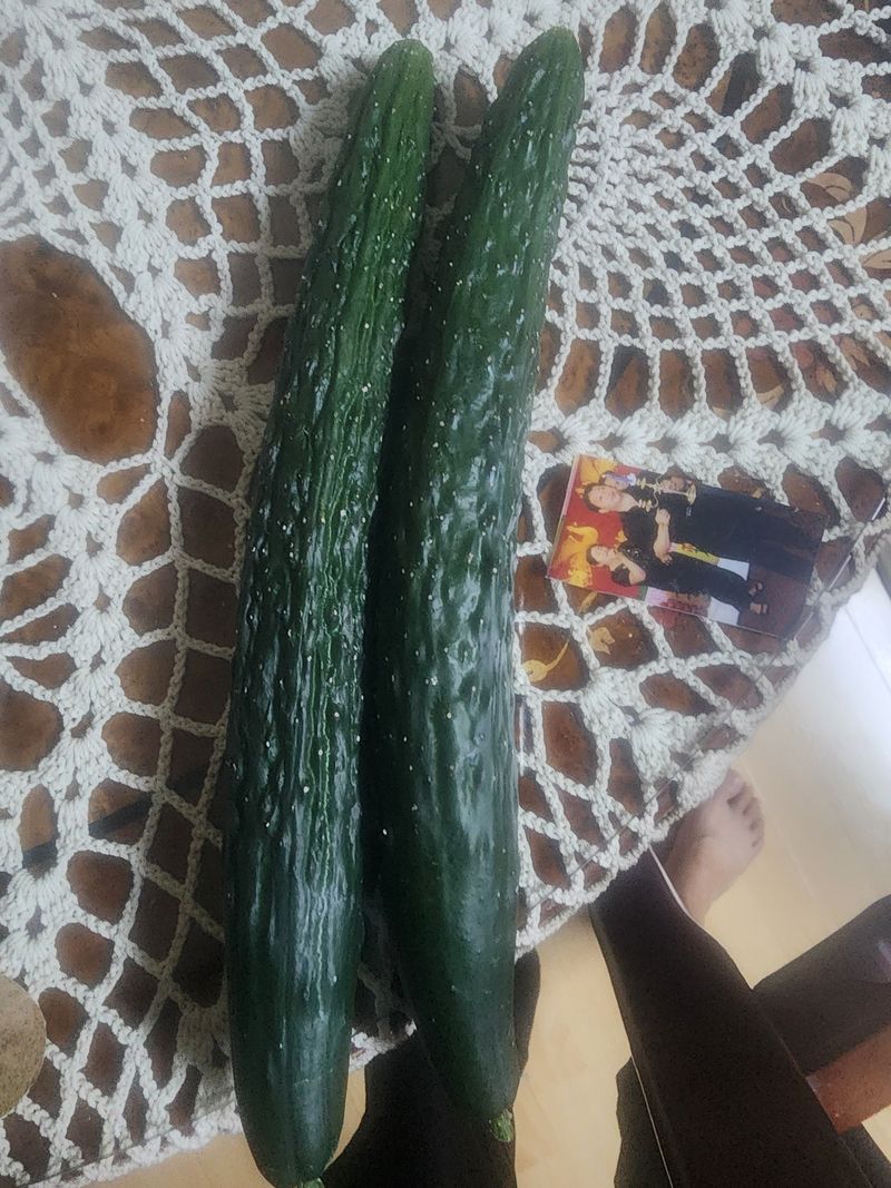 들깨안동순님의 장터 구매 후기 썸네일