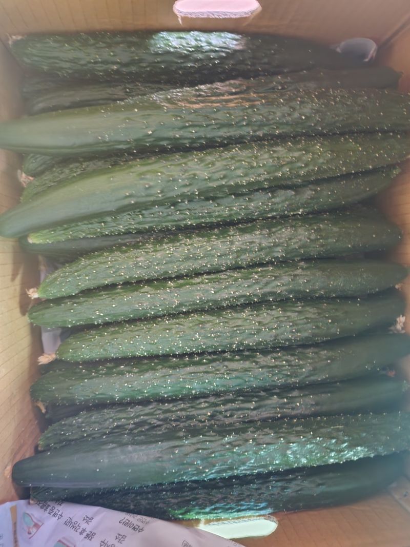 들깨안동순님의 장터 구매 후기 썸네일