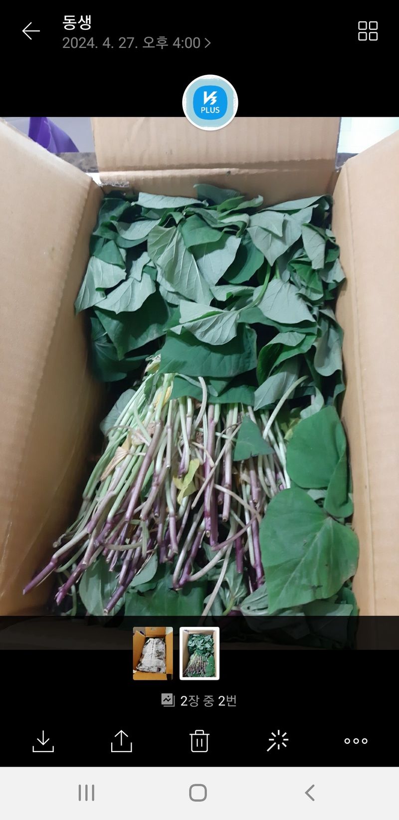 바다진주님의 장터 구매 후기 썸네일