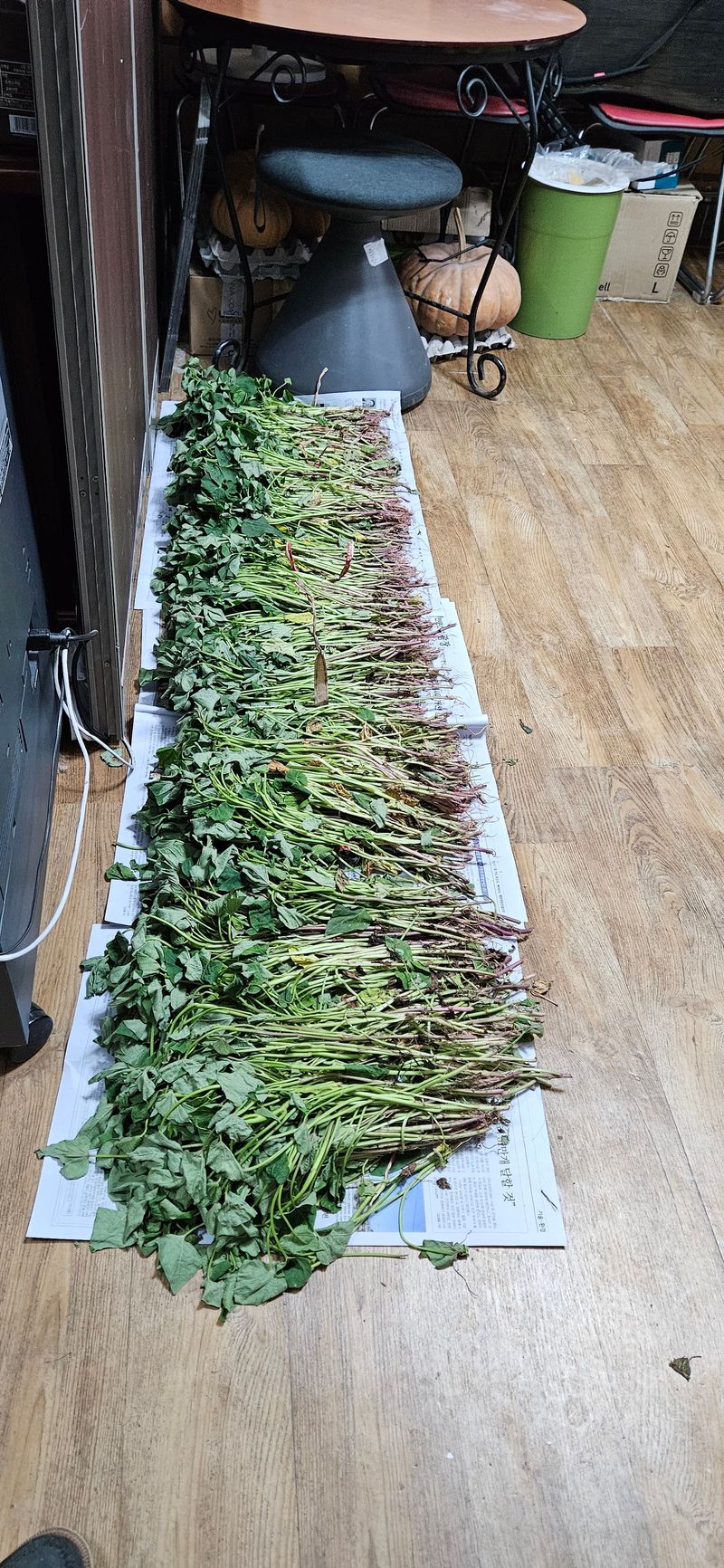 허인덕님의 장터 구매 후기 썸네일