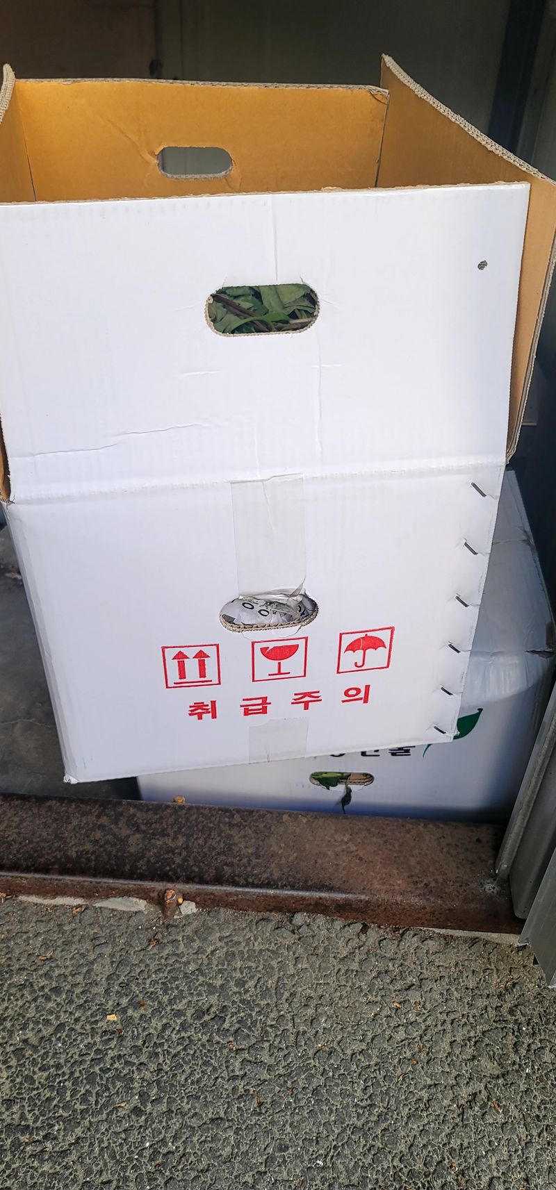 범이님의 장터 구매 후기 썸네일