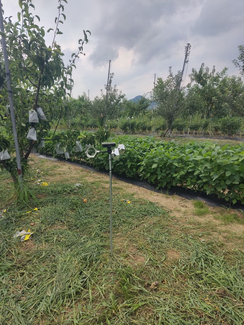 심항섭님의 장터 구매 후기 썸네일