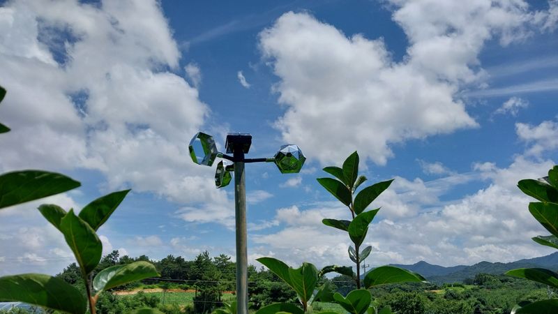 나수일님의 장터 구매 후기 썸네일