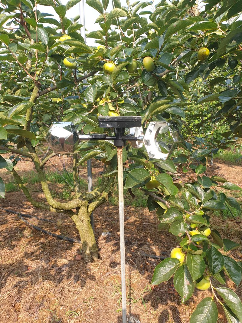 산들농원님의 장터 구매 후기 썸네일