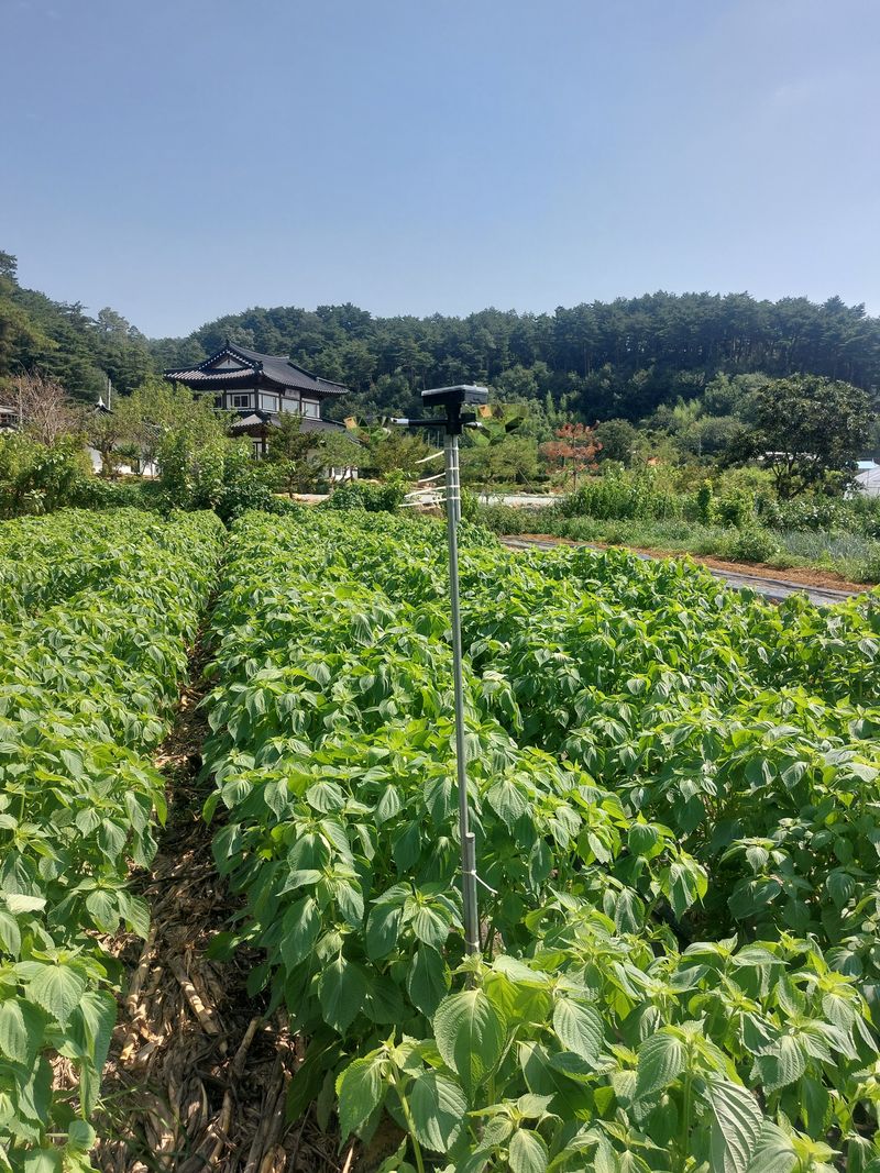 정연국님의 장터 구매 후기 썸네일