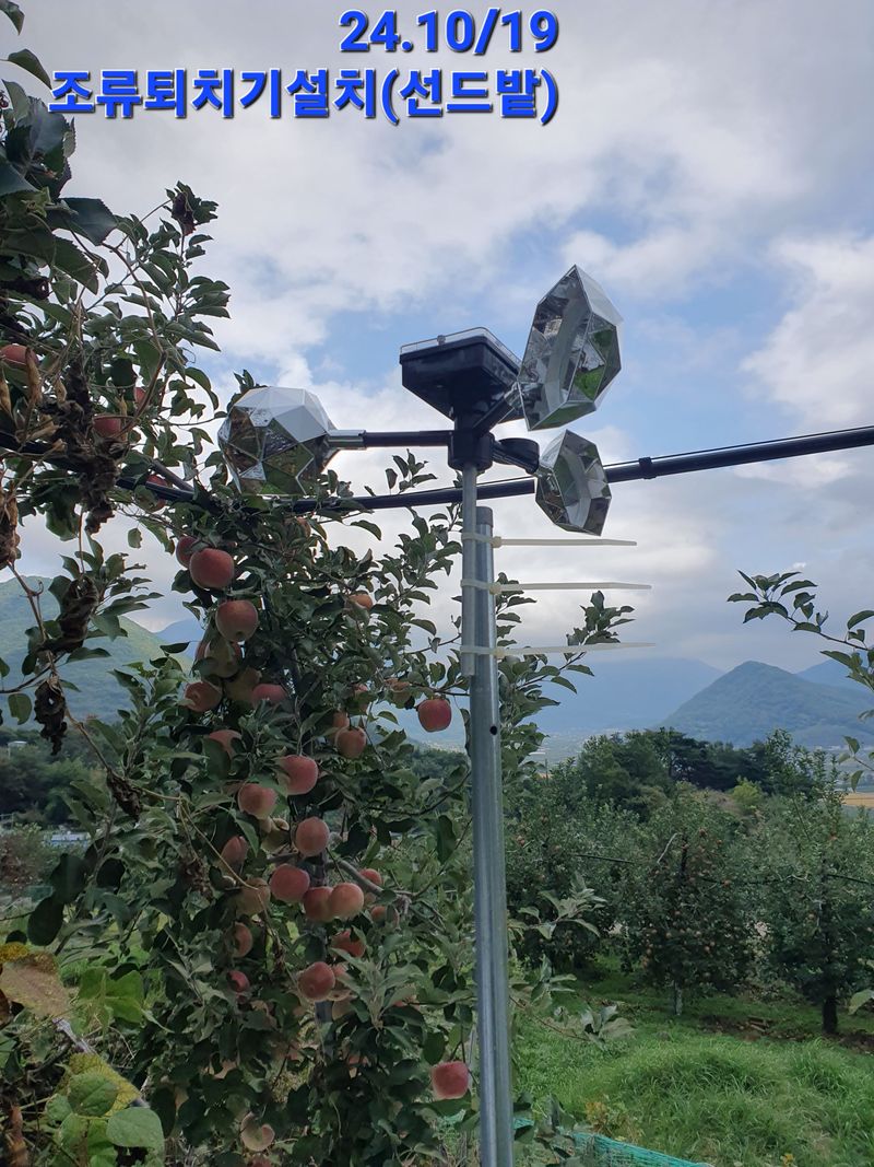 낙엽교목류9304님의 장터 구매 후기 썸네일