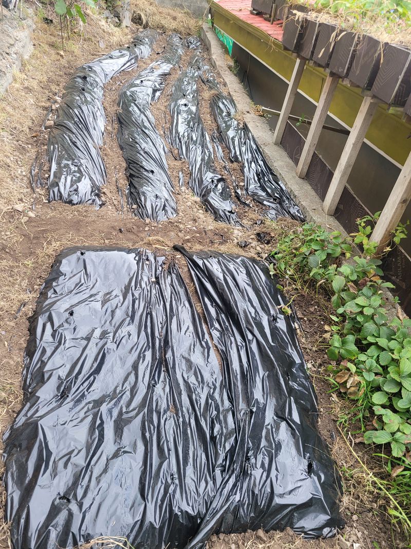 이희규님의 장터 구매 후기 썸네일