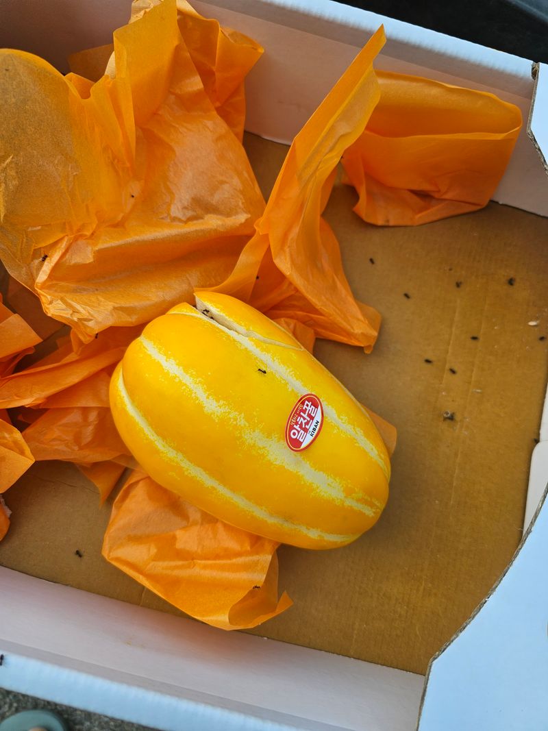 만석꾼님의 장터 구매 후기 썸네일