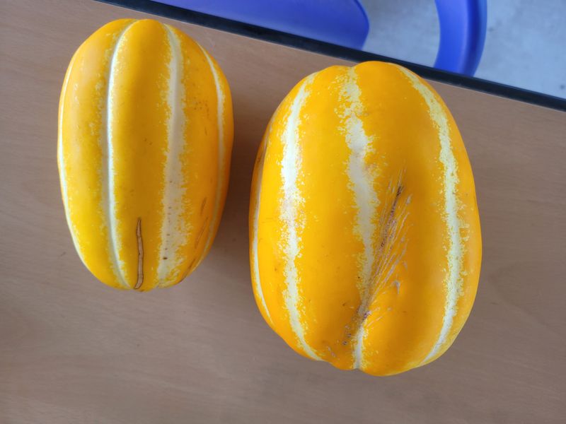 박세윤님의 장터 구매 후기 썸네일