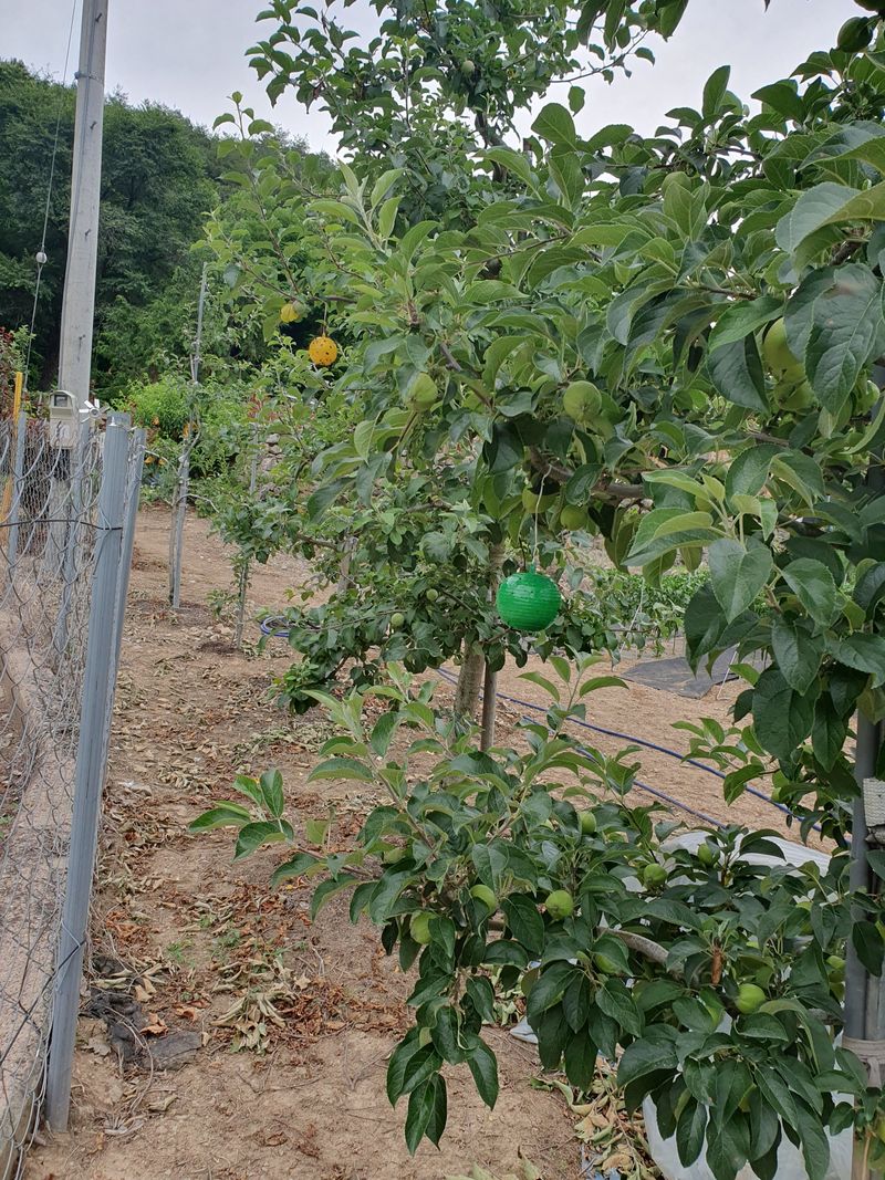 김철원,바람산인님의 장터 구매 후기 썸네일