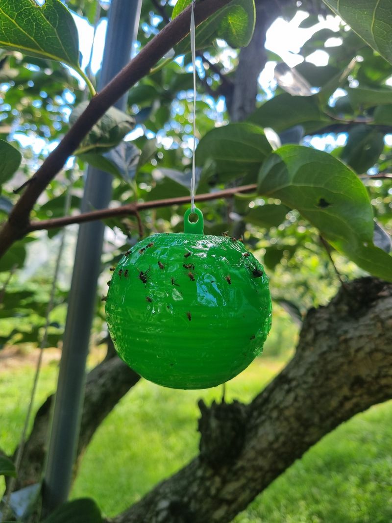 자연농원 윤상수님의 장터 구매 후기 썸네일