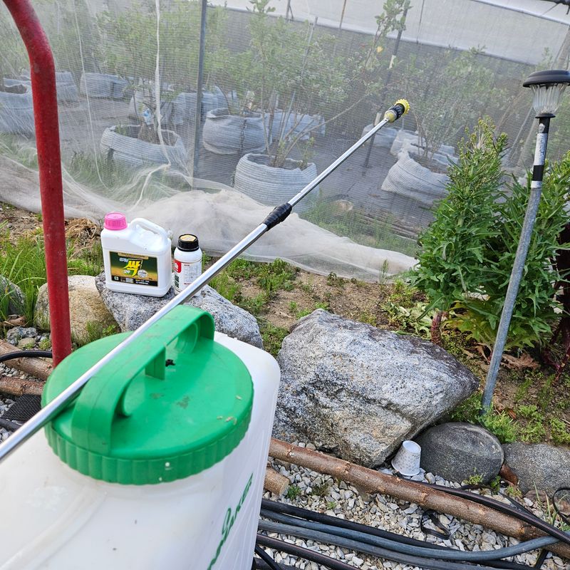 조영운님의 장터 구매 후기 썸네일