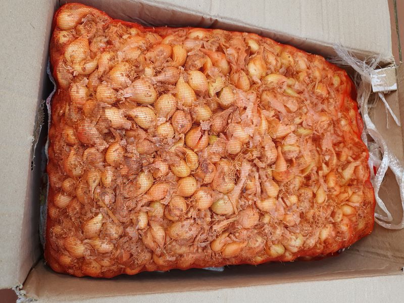 최남경님의 장터 구매 후기 썸네일