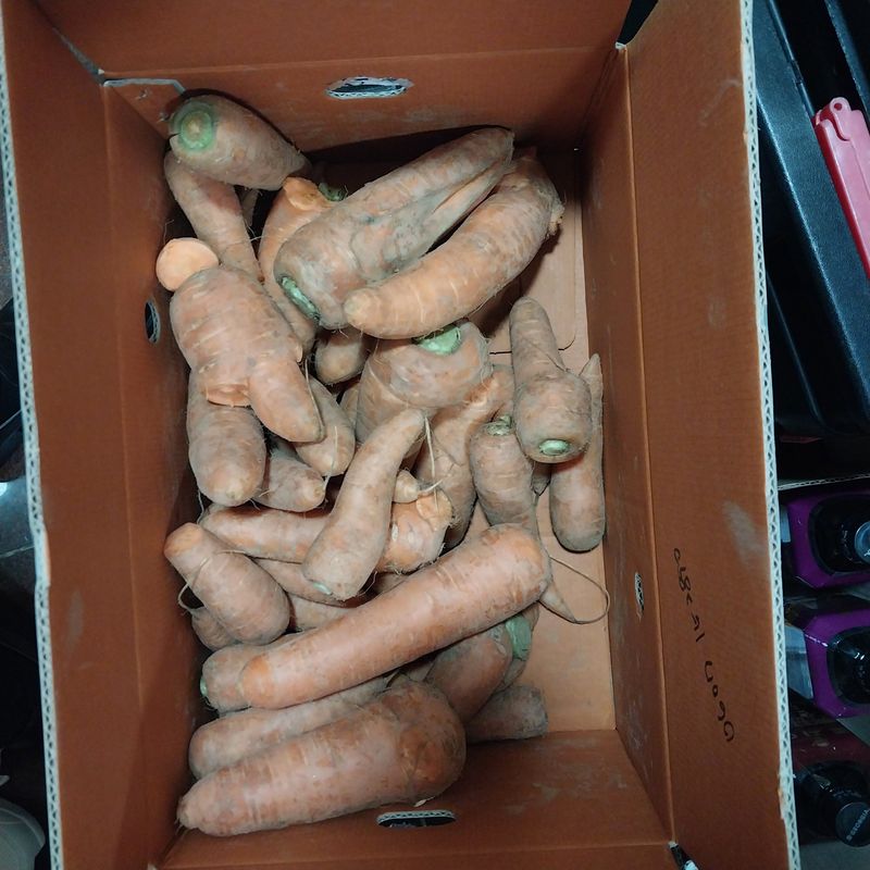 편재경님의 장터 구매 후기 썸네일