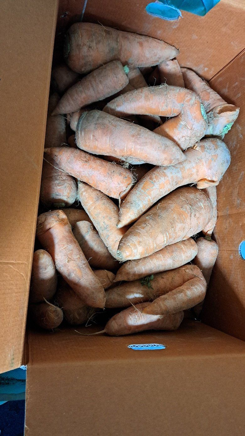 품앗이님의 장터 구매 후기 썸네일