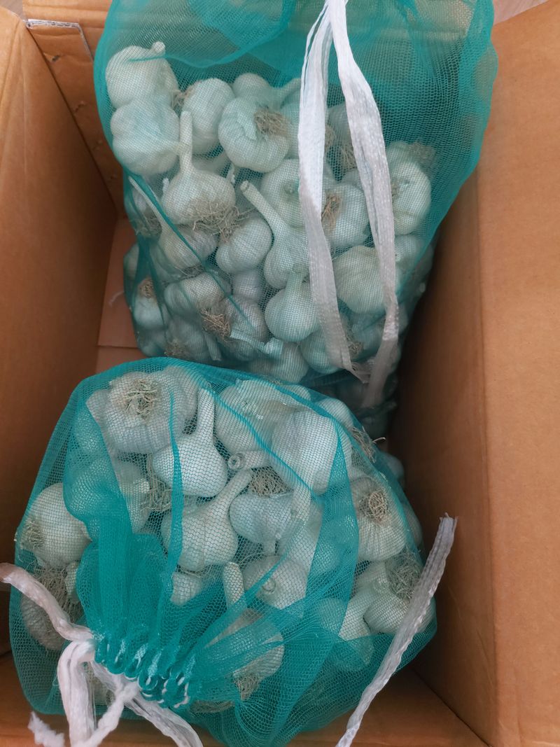 김진봉님의 장터 구매 후기 썸네일