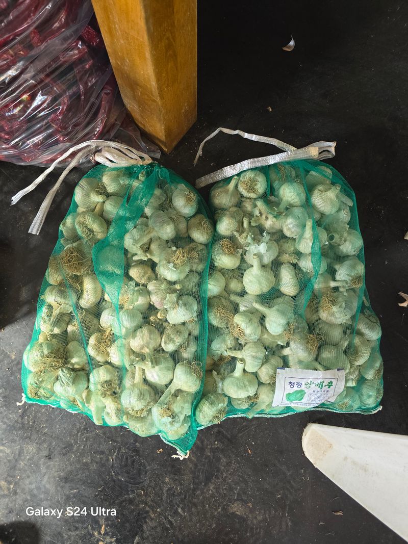 대박농장신초시님의 장터 구매 후기 썸네일