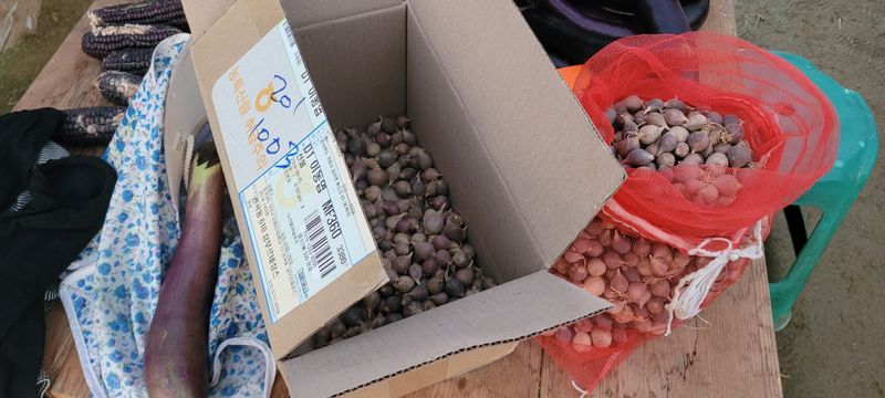 살구15128님의 장터 구매 후기 썸네일