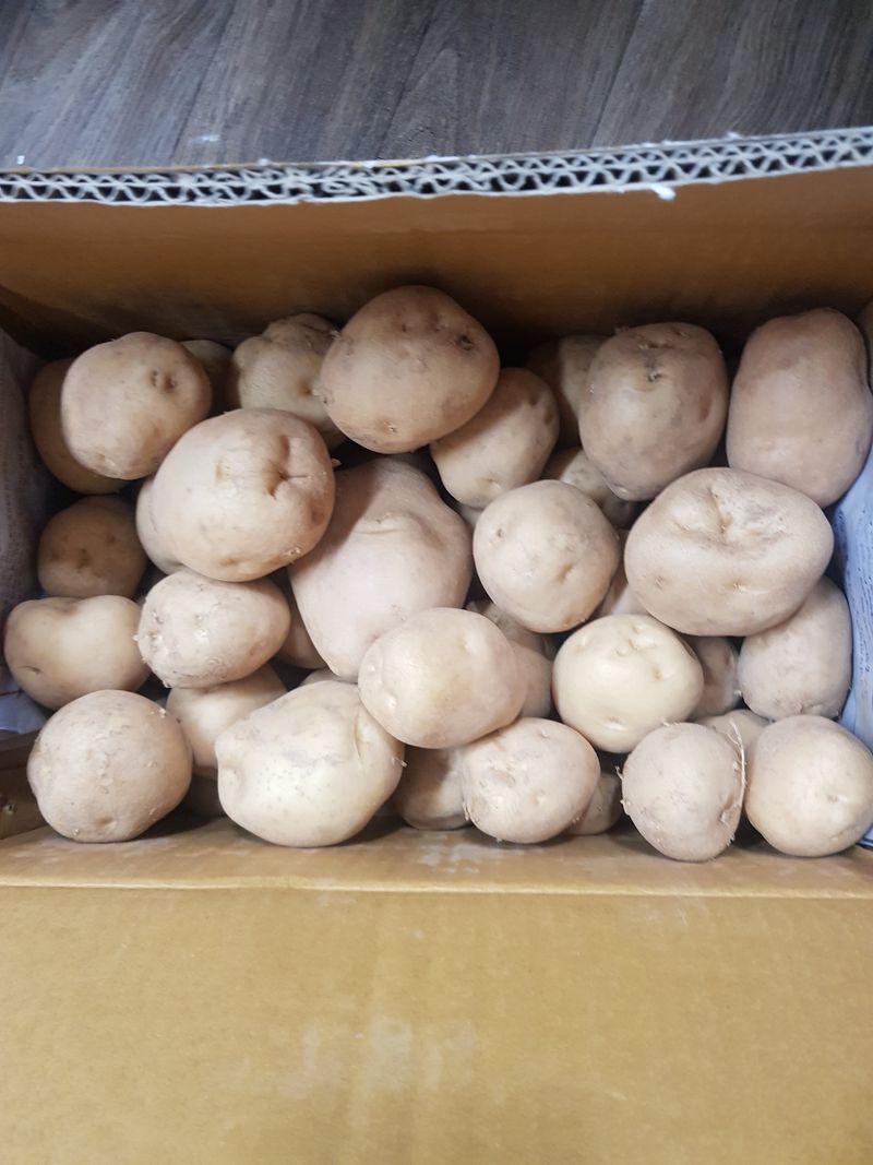 방성자님의 장터 구매 후기 썸네일