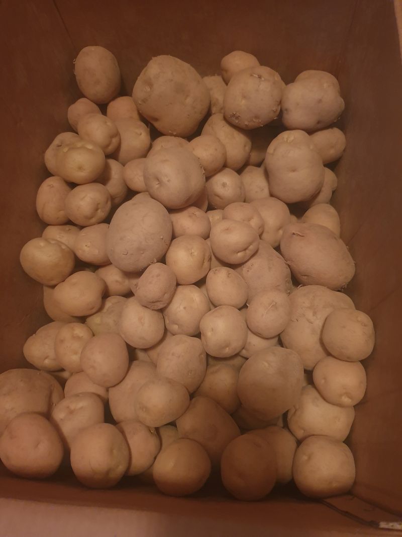 김인식님의 장터 구매 후기 썸네일