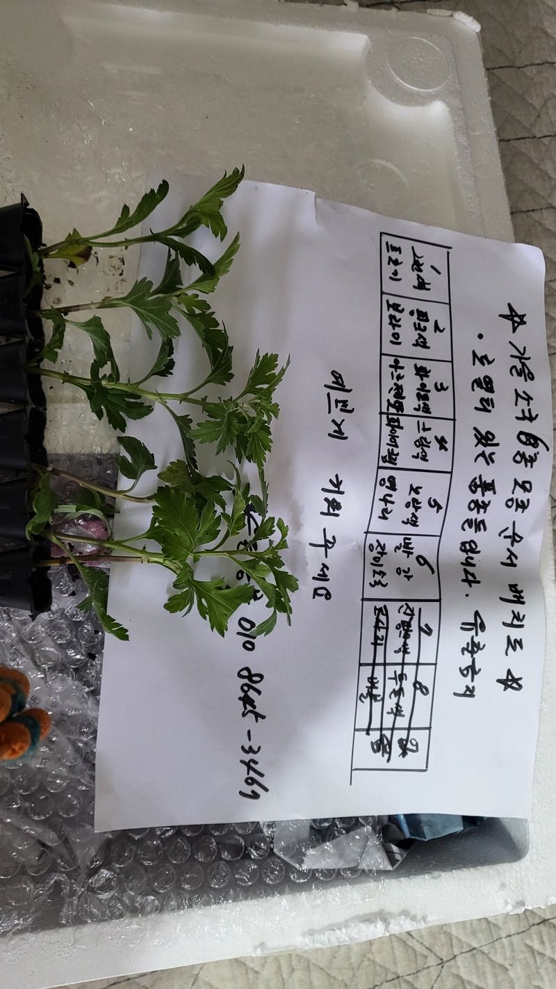 조미숙님의 장터 구매 후기 썸네일