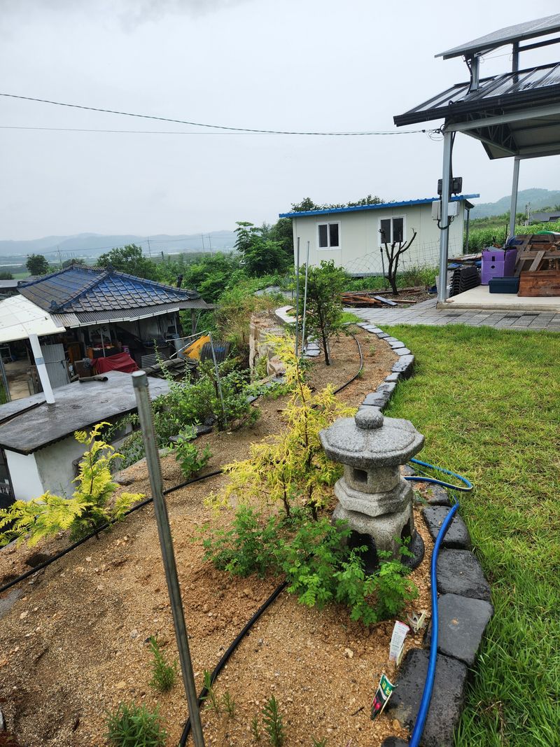 황금송2002님의 장터 구매 후기 썸네일